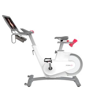 Купить Велотренажер Yesoul BV1-W PLUS в Невеле 